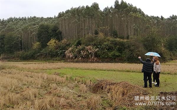 黑河市陈老师带着爱徒寻龙点穴